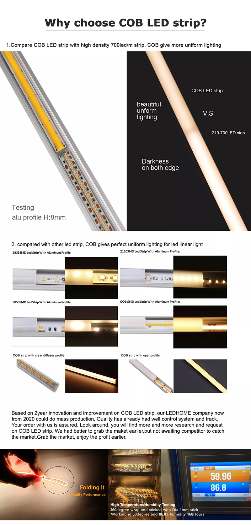 cob led strip light  (1).jpg